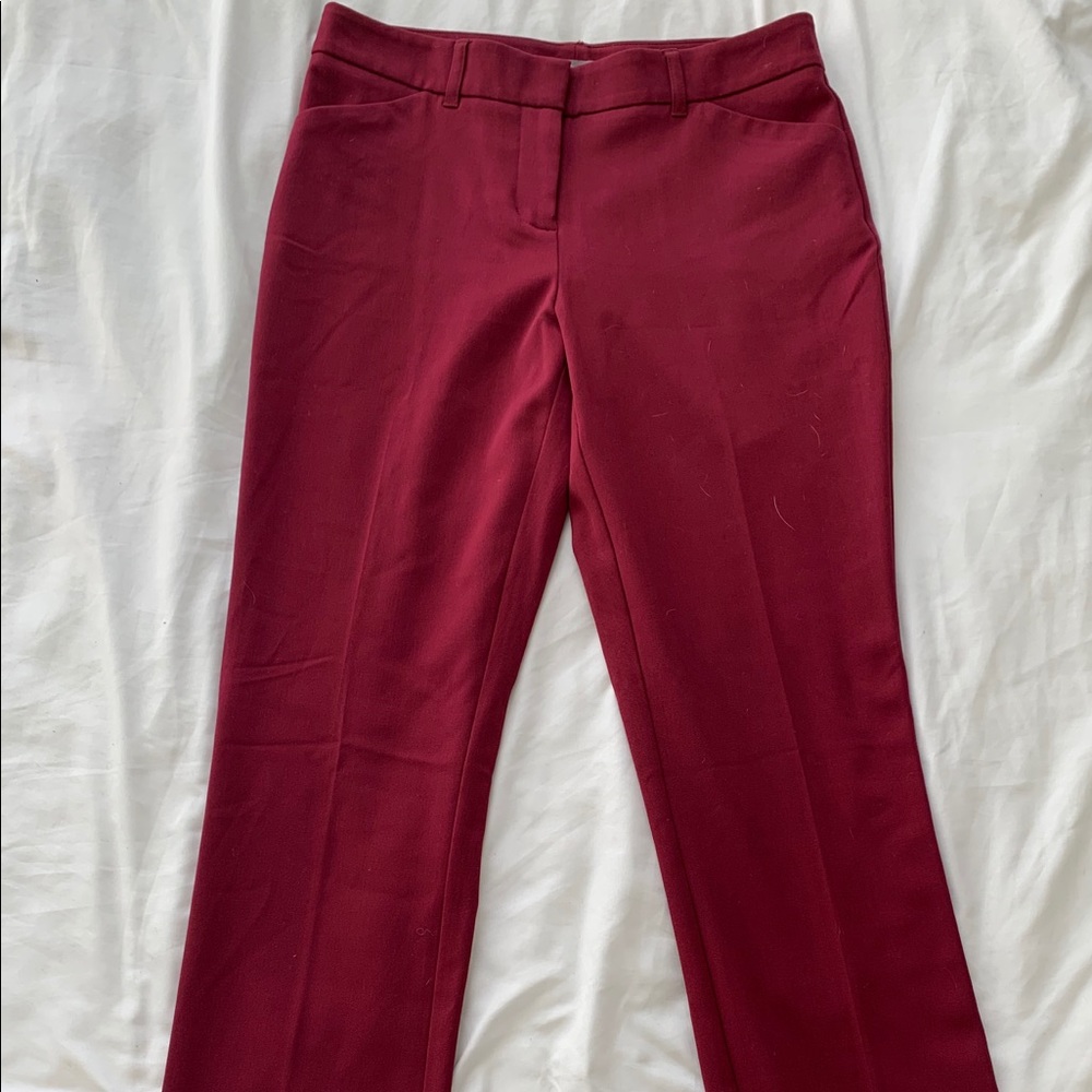 Burgundy boot cut dress pants